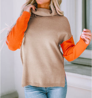 Color Block Turtle Neck Sweater- Regular & Plus