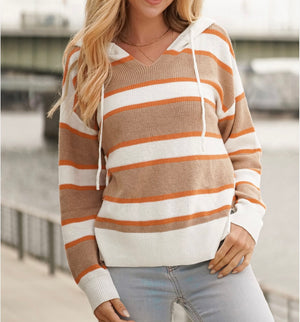 Fall light Weight Striped Hoodie Regular & Plus